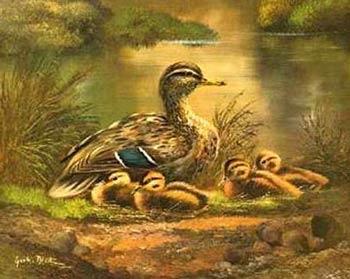 unknow artist Ducks 101 oil painting image